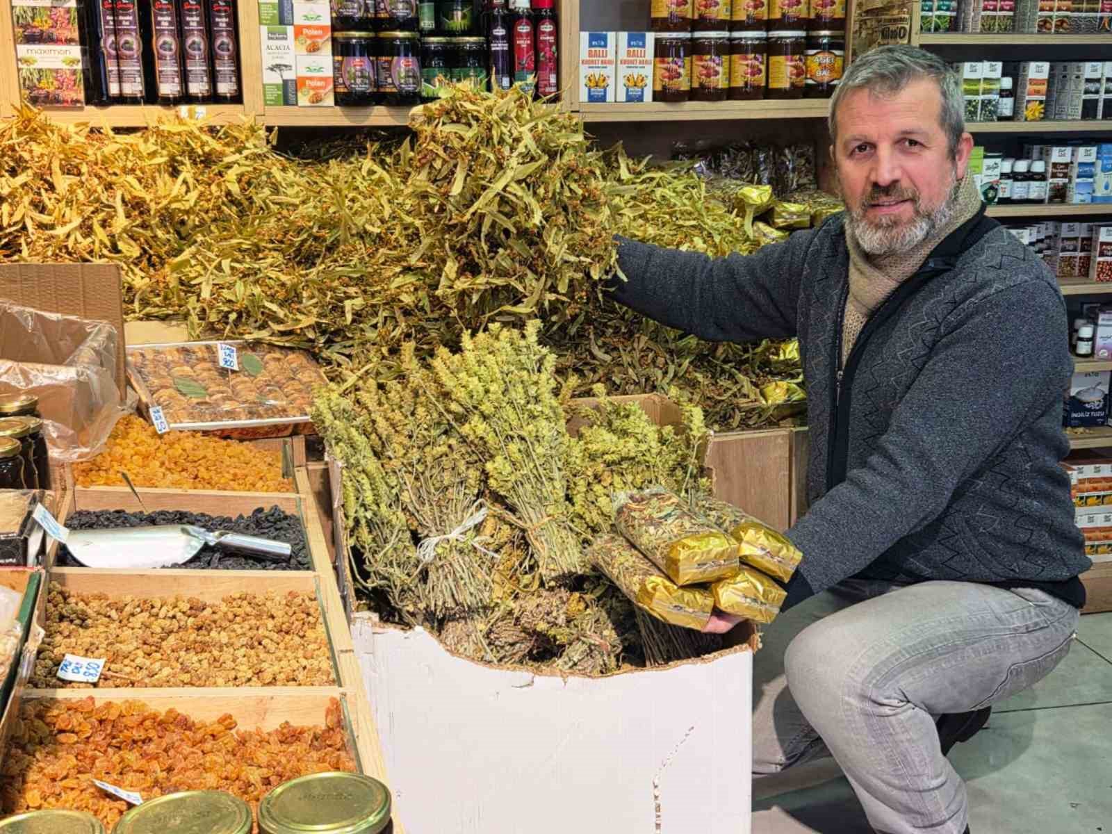 Ayaz vurdu, fincanlar kış çayıyla doldu
