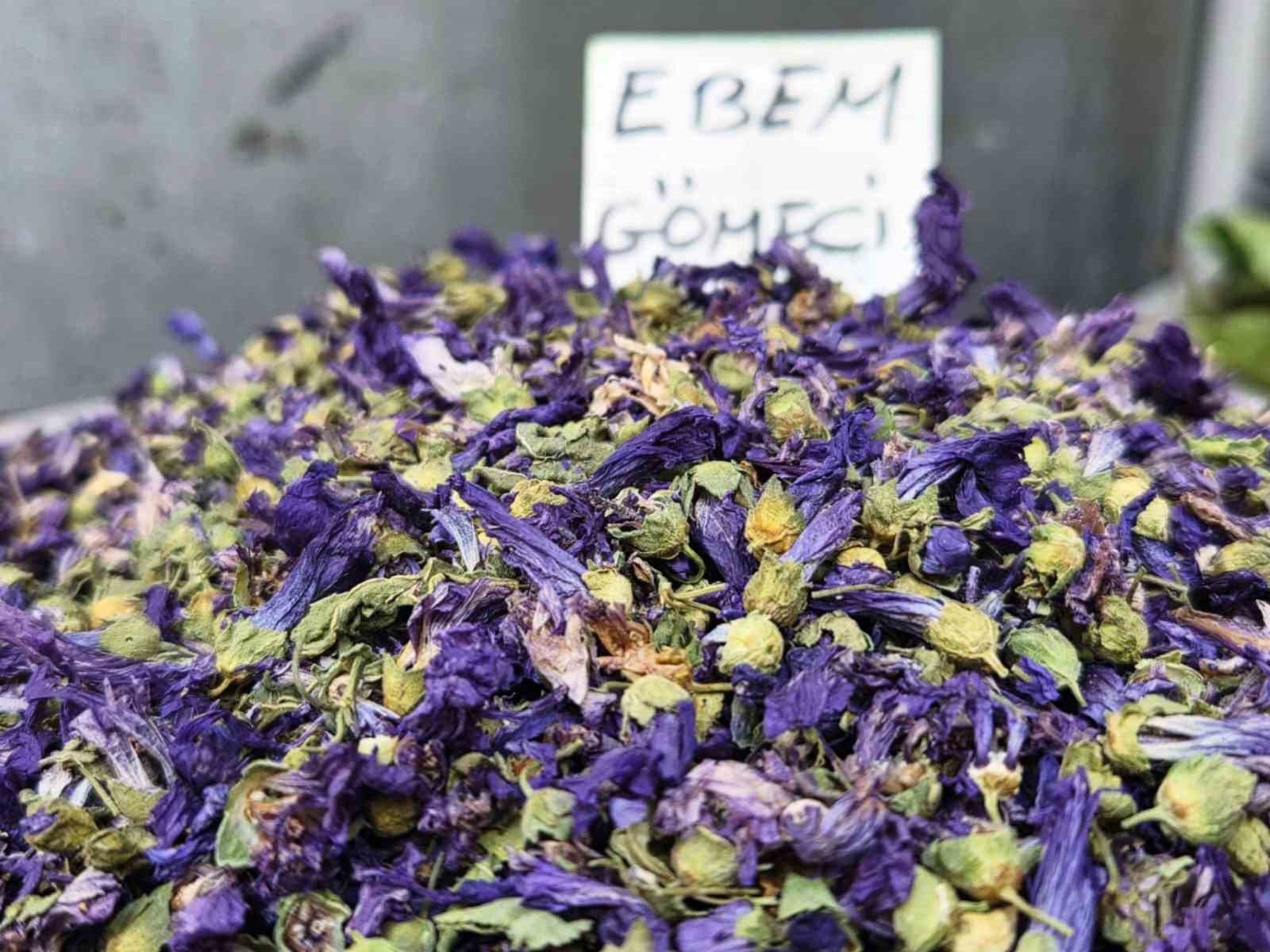 Ayaz vurdu, fincanlar kış çayıyla doldu
