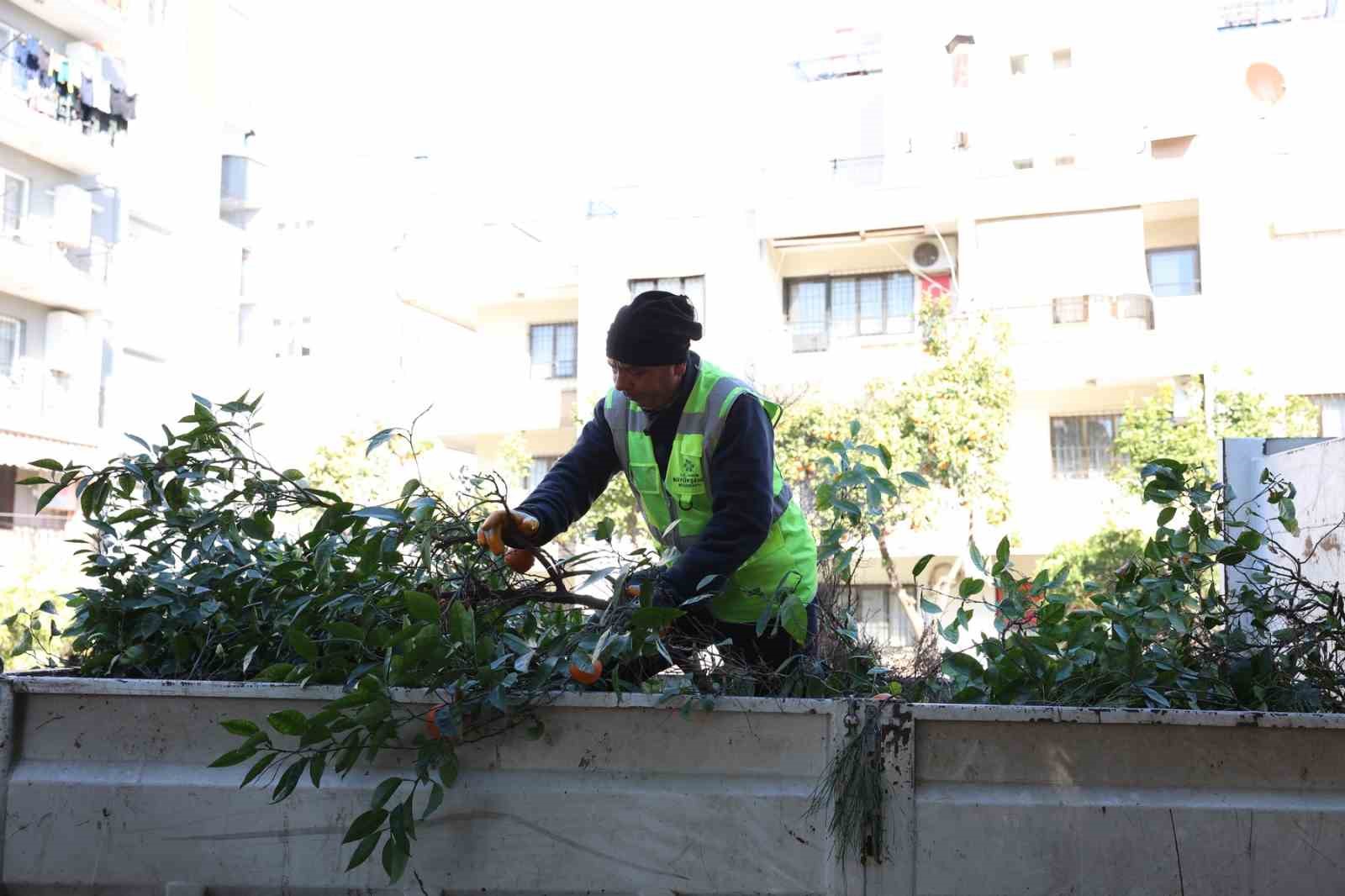 Aydın Büyükşehir Belediyesi’nden Efeler’in yeşil alanlarına bakım
Aydın Büyükşehir Belediyesi’nden Efeler’in yeşil alanlarına bakım