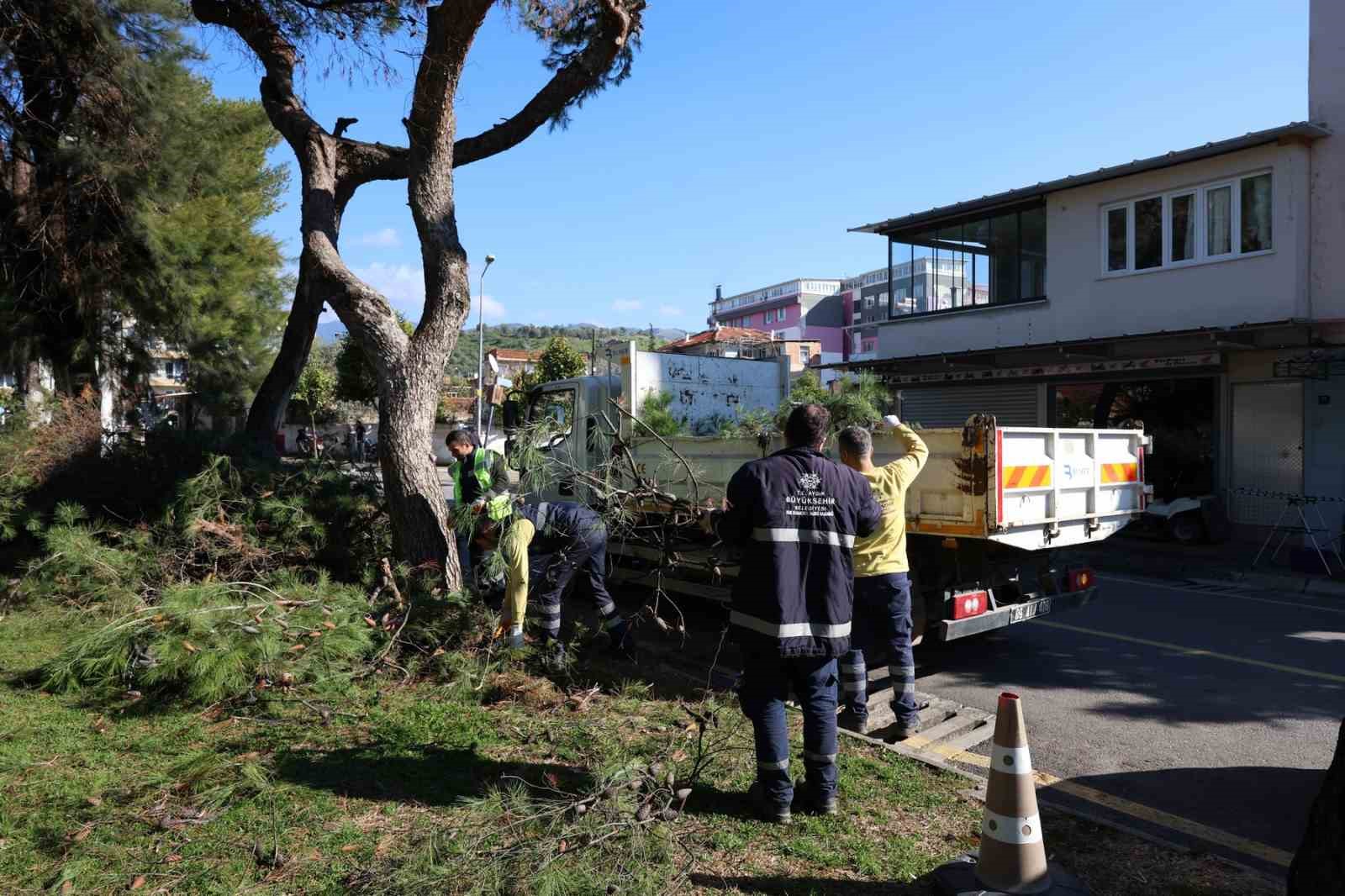 Aydın Büyükşehir Belediyesi’nden Efeler’in yeşil alanlarına bakım
Aydın Büyükşehir Belediyesi’nden Efeler’in yeşil alanlarına bakım