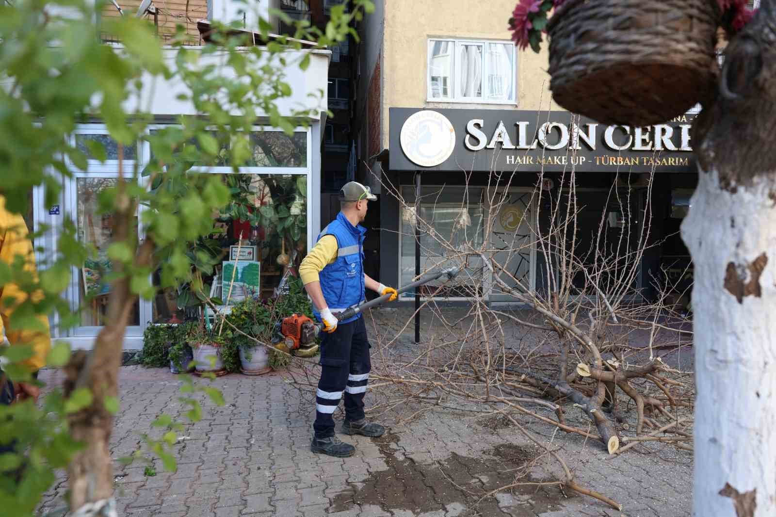 Aydın Büyükşehir Belediyesi’nden Efeler’in yeşil alanlarına bakım
Aydın Büyükşehir Belediyesi’nden Efeler’in yeşil alanlarına bakım