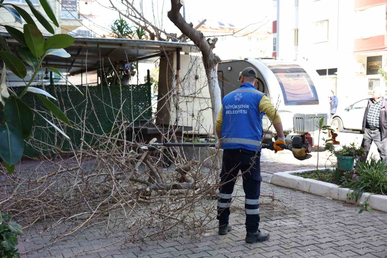 Aydın Büyükşehir Belediyesi’nden Efeler’in yeşil alanlarına bakım
Aydın Büyükşehir Belediyesi’nden Efeler’in yeşil alanlarına bakım