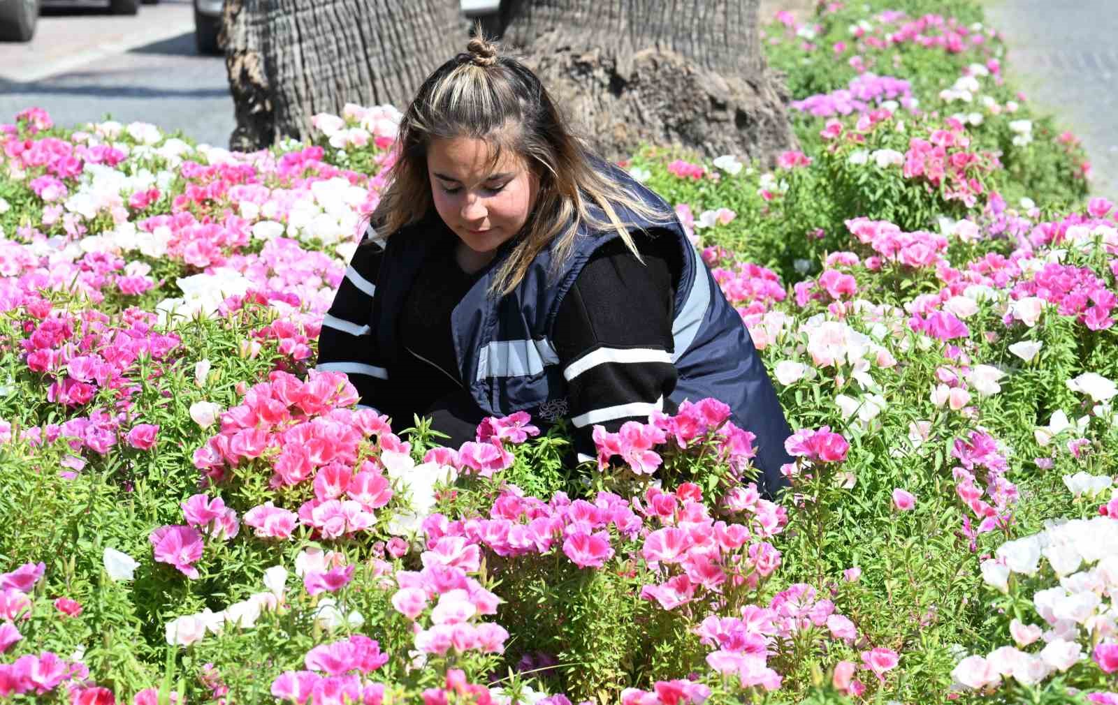 Aydın Büyükşehir, Didim’de çalışmalarını sürdürüyor
