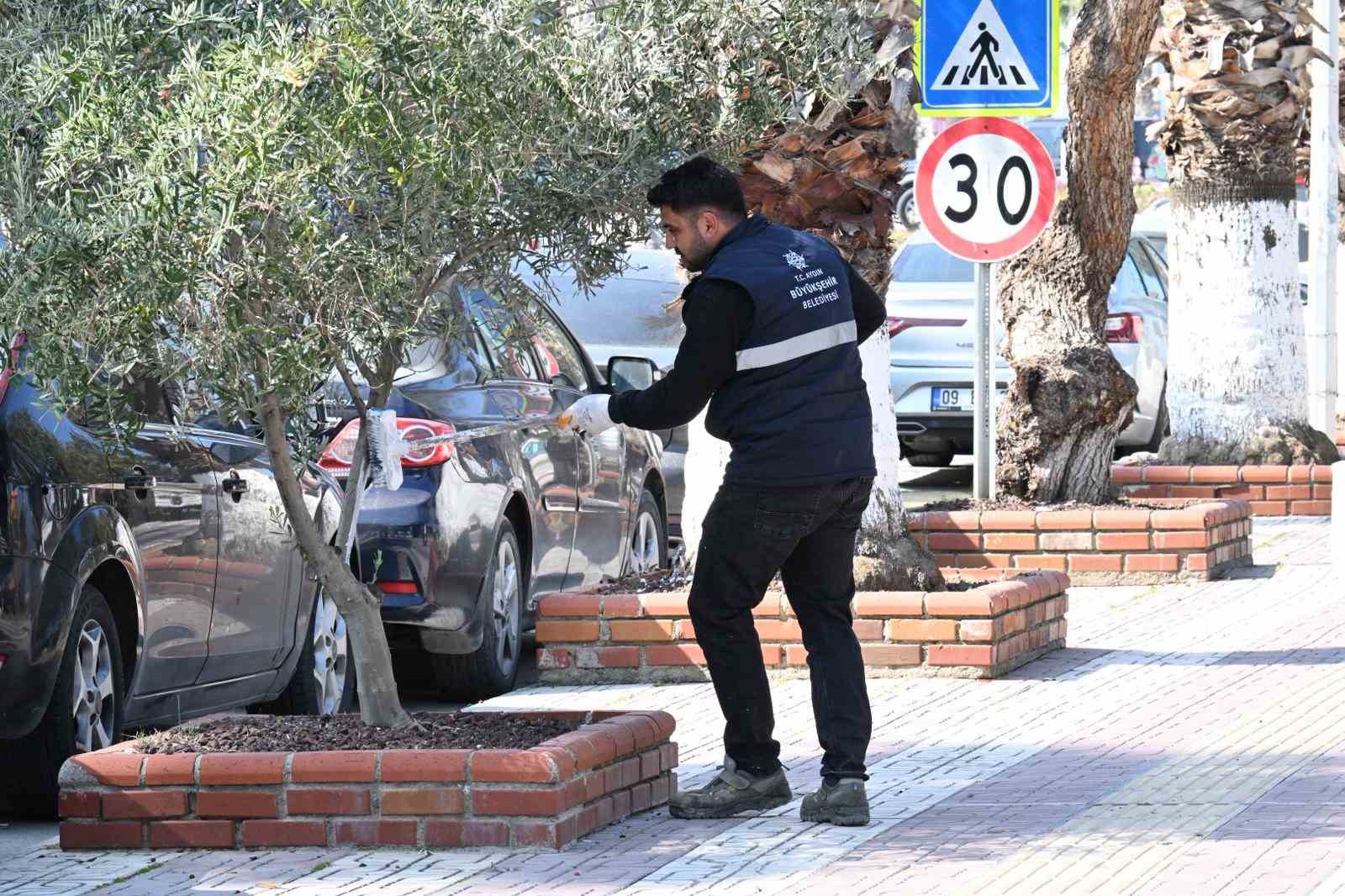 Aydın Büyükşehir’den bayram öncesi Kuşadası’nda çevre düzenlemesi
