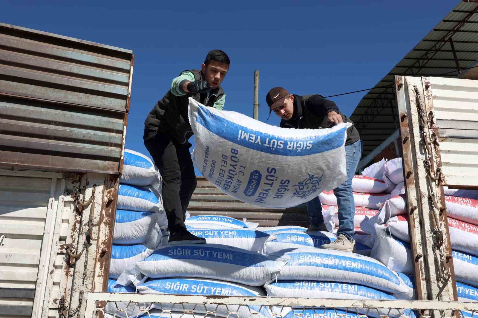 Aydın Büyükşehir’in yem desteği devam ediyor
