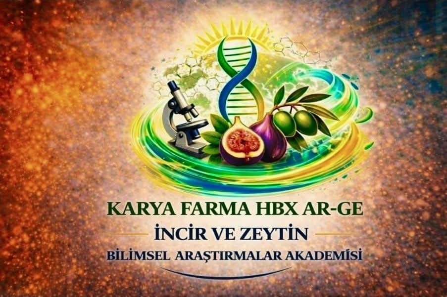 Aydın inciri ve zeytin kısa filmle tanıtılacak
