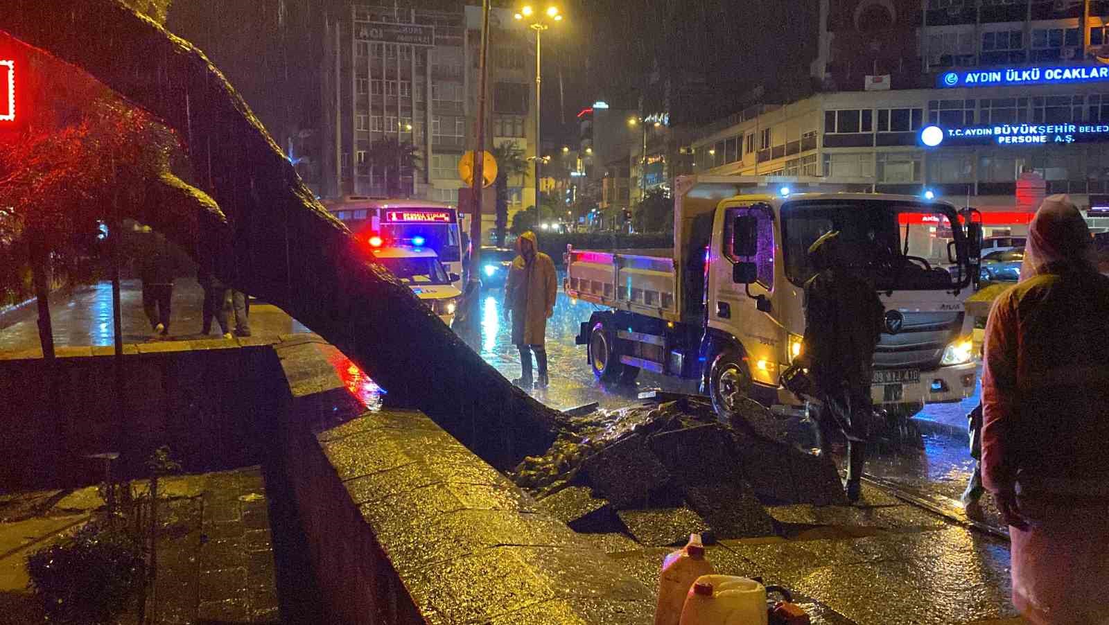 Aydın kent merkezinde faciadan dönüldü: Asırlık çam ağacı devrildi
