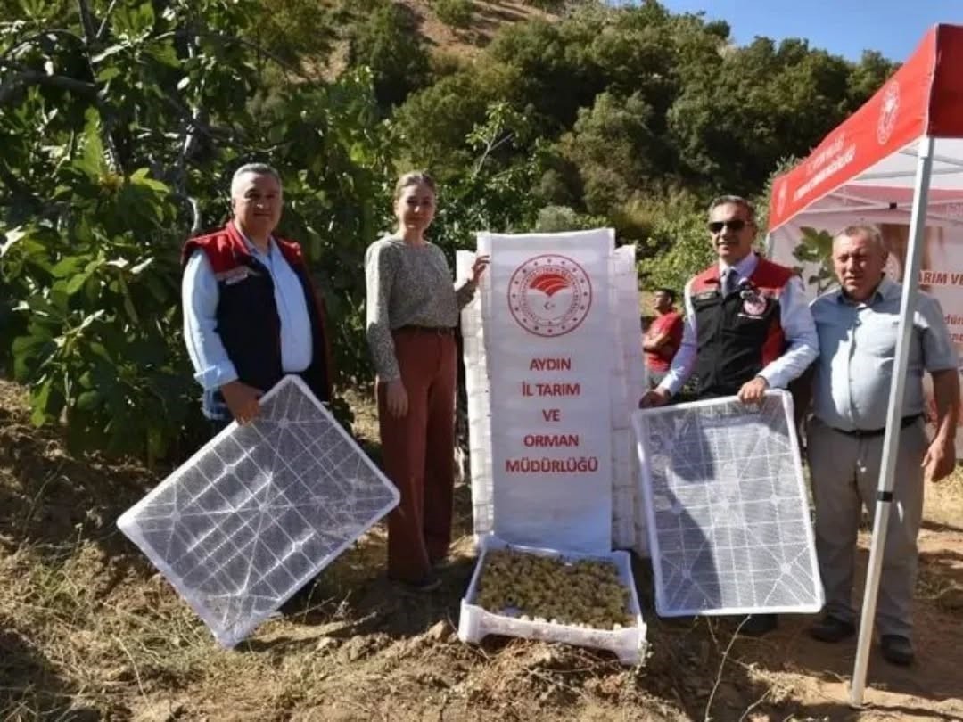 Aydın’da bir yılda 3 bini aşkın tarımsal denetim yapıldı
