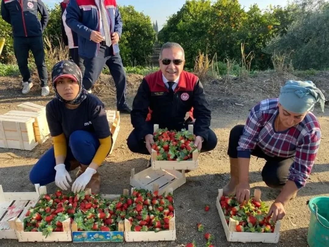 Aydın’da bir yılda 3 bini aşkın tarımsal denetim yapıldı
