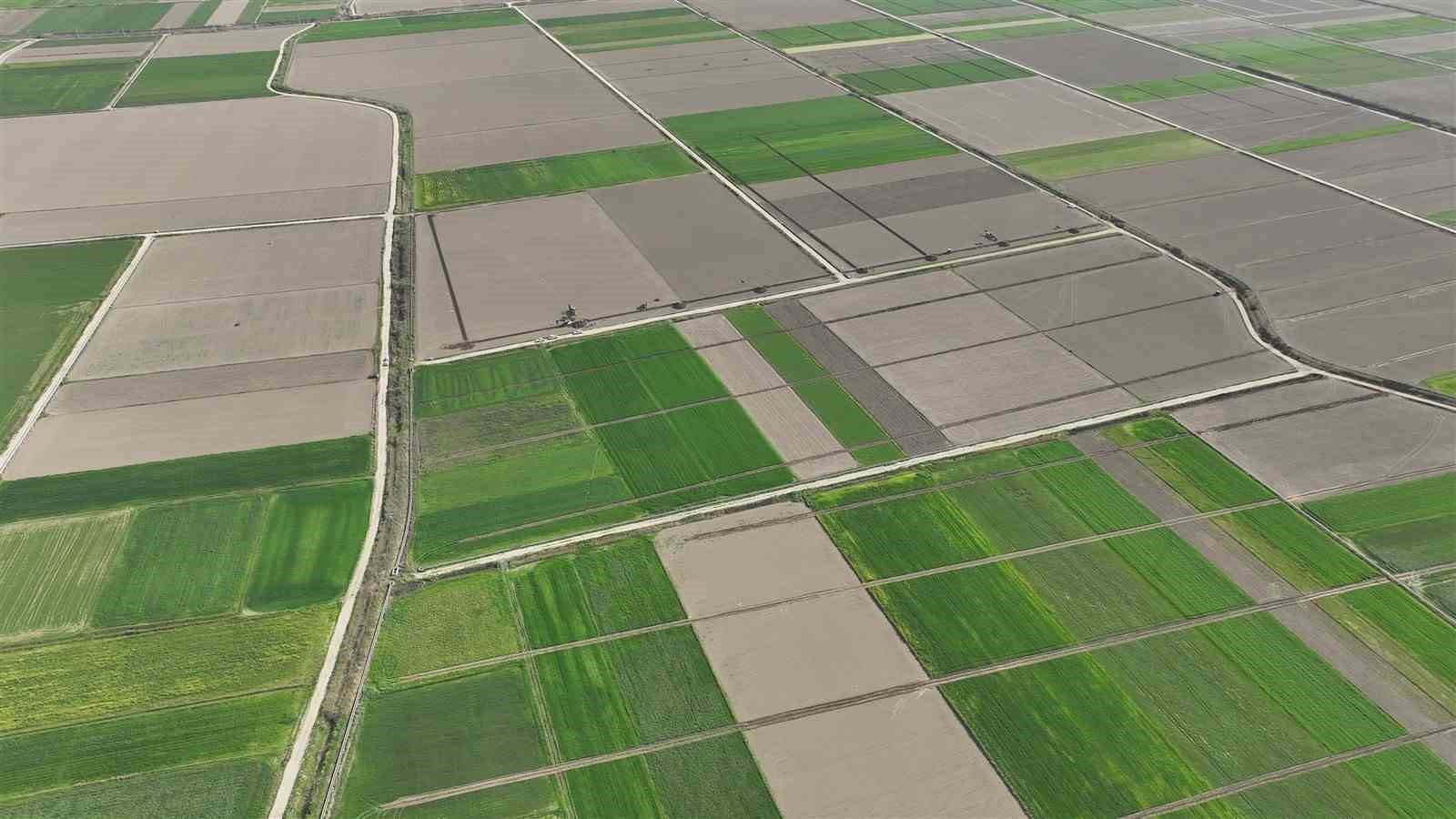 Aydın’da ürünlerin verimliliği artacak
Aydın’da ürünlerin verimliliği artacak