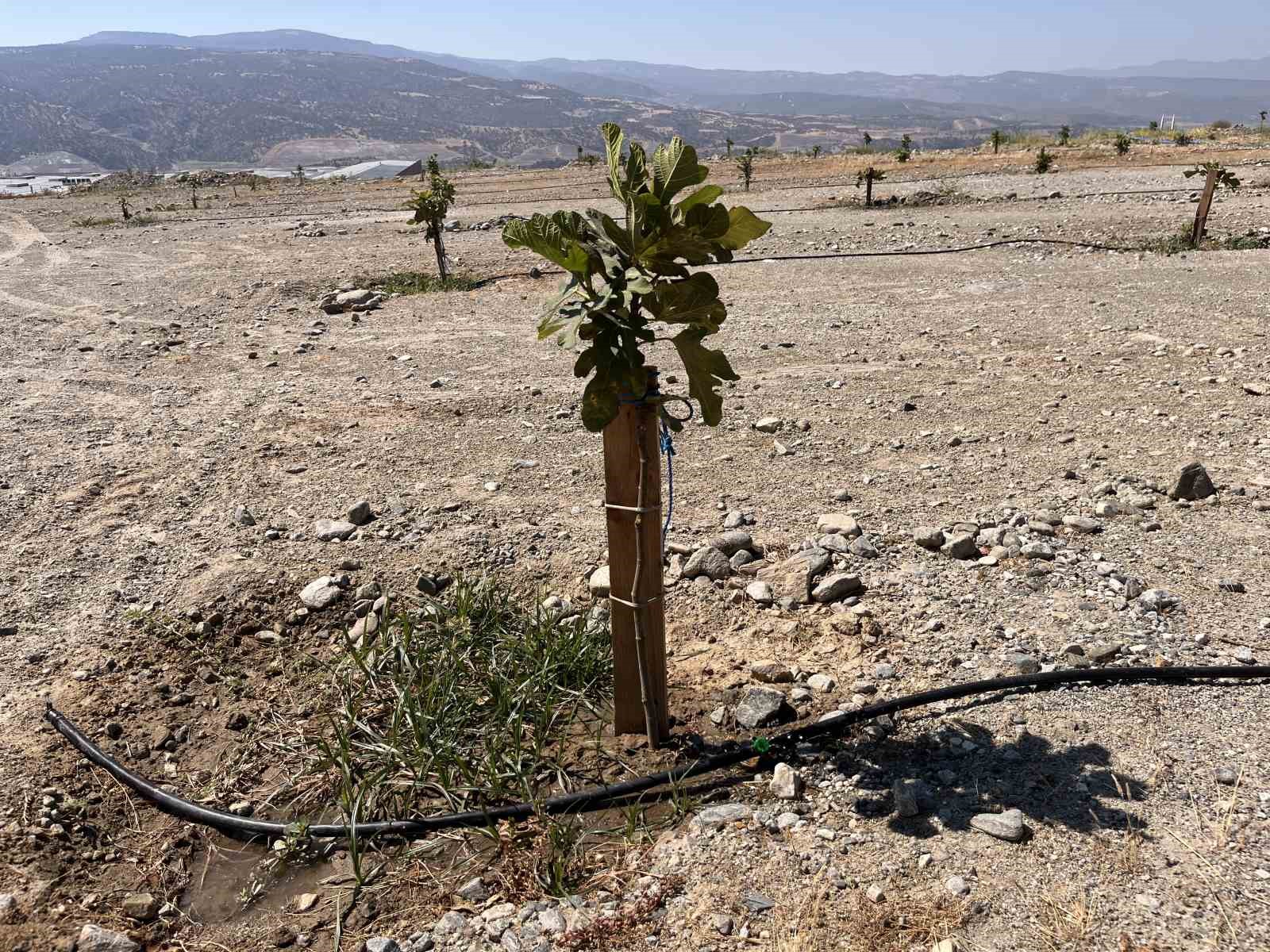 Aydın’ın İlek Bahçeleri 21 Ocak’ta törenle hizmete açılıyor
Aydın’ın İlek Bahçeleri 21 Ocak’ta törenle hizmete açılıyor