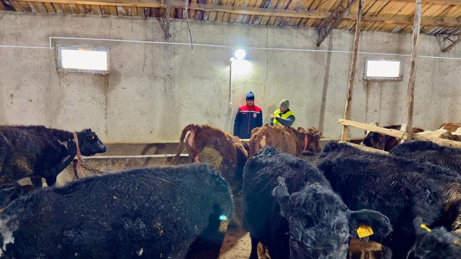 Aydıntepe’de Kırsalda Bereket Projesi ile üretimler devam ediyor
