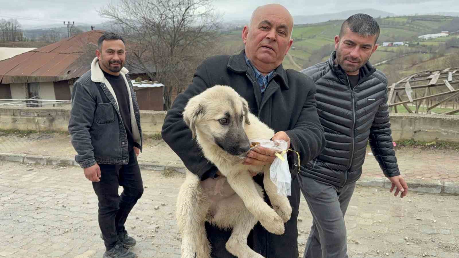 Baba oğul, çatıda ölümün eşiğindeki yavru köpeği kurtardı
