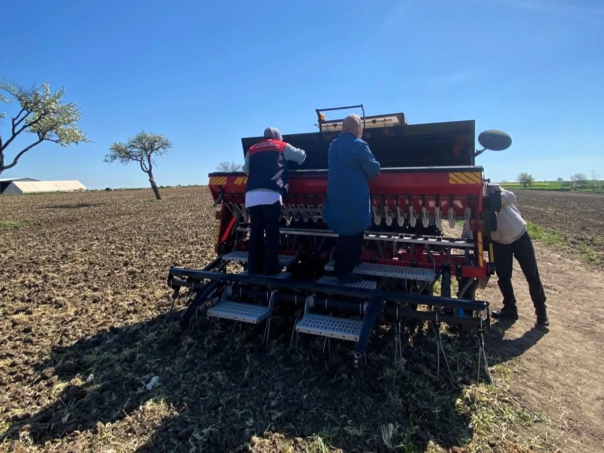 Babaeski’de aspir tohumu toprakla buluştu
