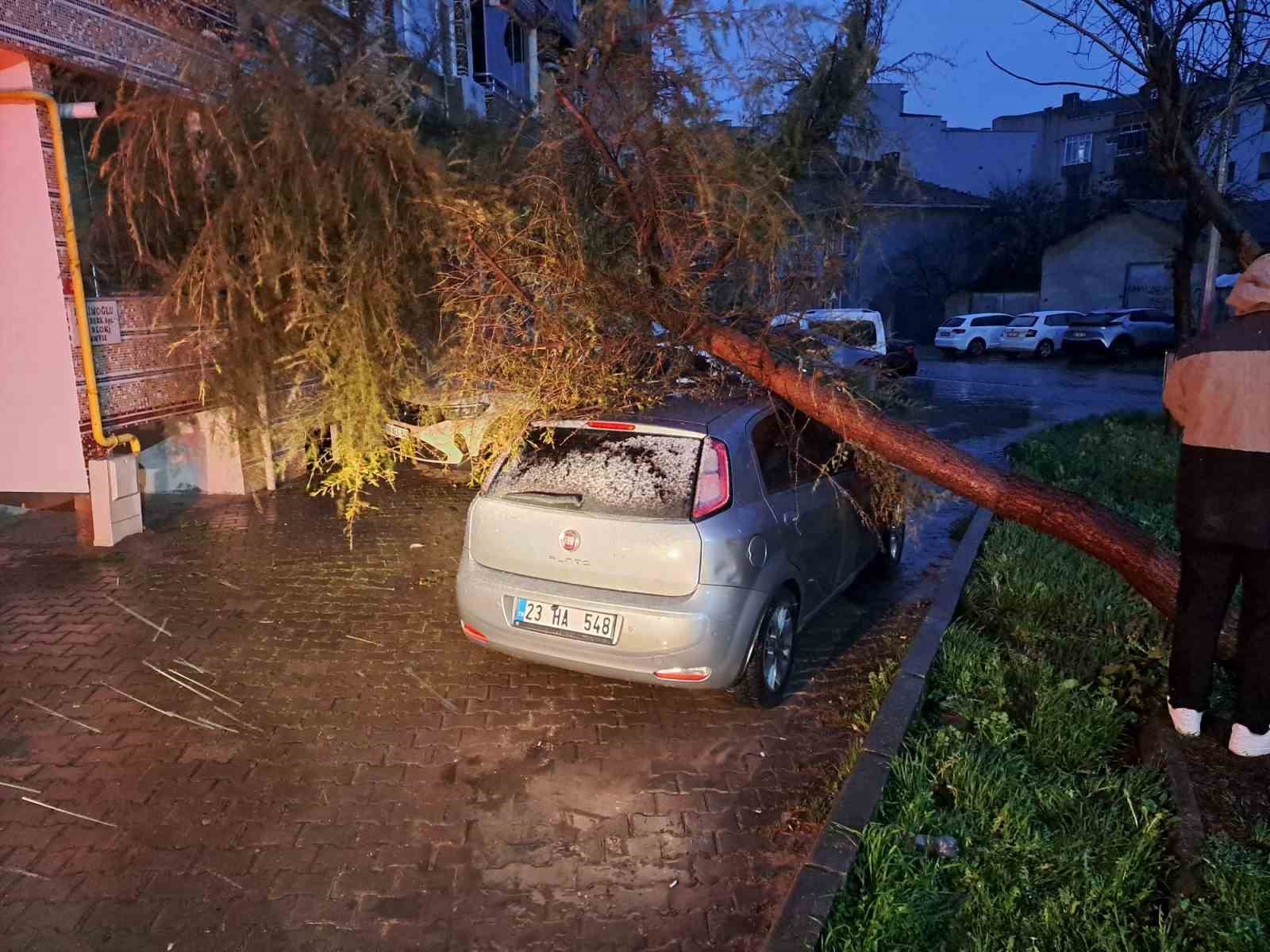 Babaeski’de kuvvetli rüzgarda otomobilin üzerine ağaç devrildi
