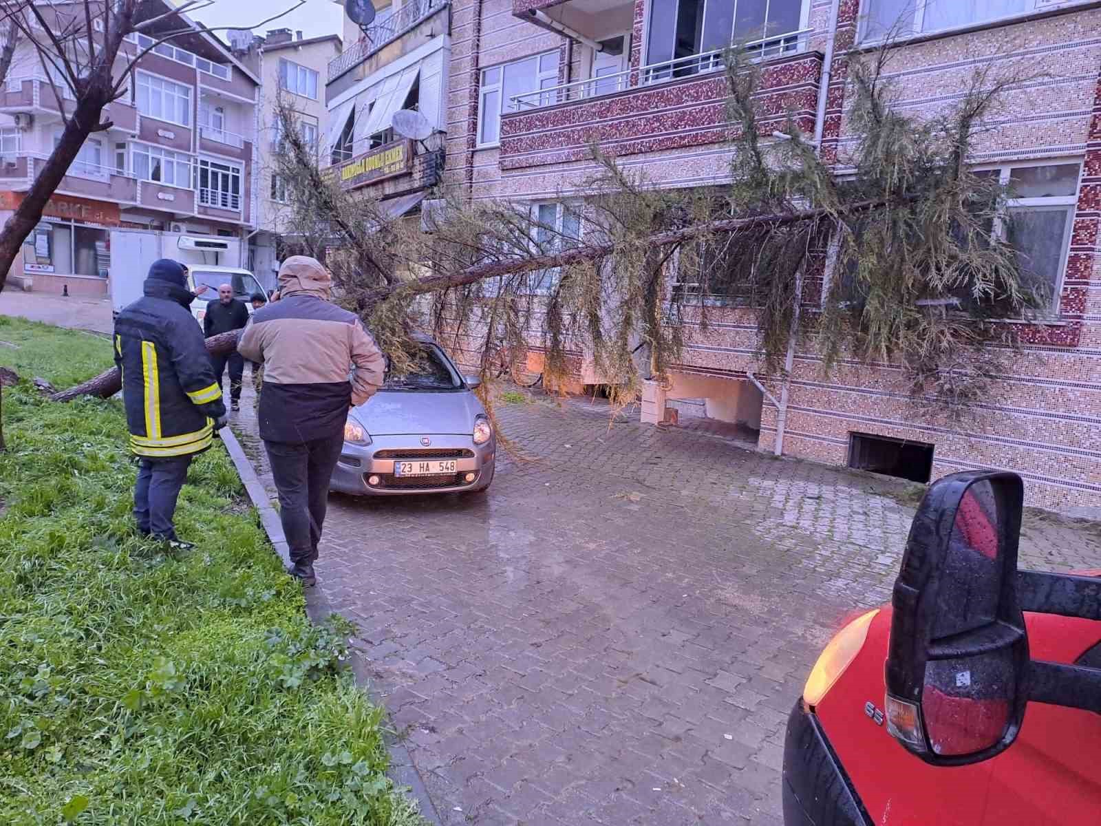Babaeski’de kuvvetli rüzgarda otomobilin üzerine ağaç devrildi

