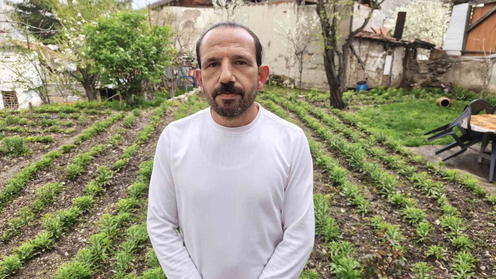 Babasından miras kalan akzambaklara gözü gibi bakıyor
