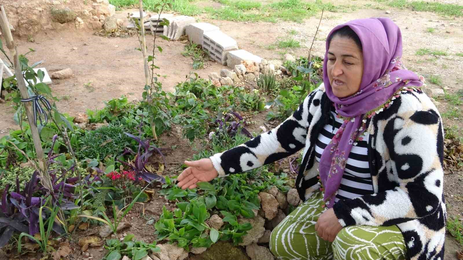 Babasının mezarındaki çiçekleri söküp uyuşturucu sakladılar
