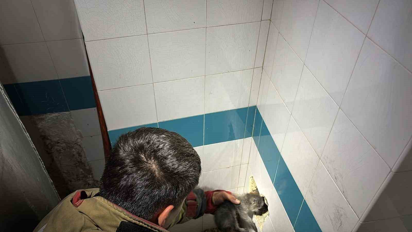 Bacadan düşerek mahsur kalan yavru kedi duvarın kırılmasıyla kurtarıldı
