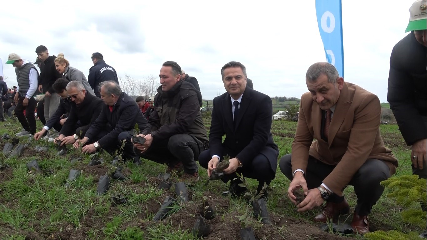 Bafra’da minik eller 3 bin fidanı toprakla buluşturdu

