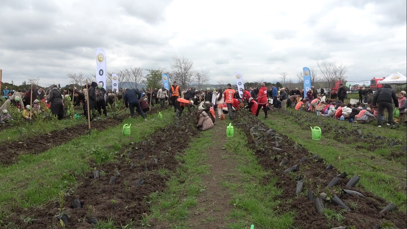 Bafra’da minik eller 3 bin fidanı toprakla buluşturdu
