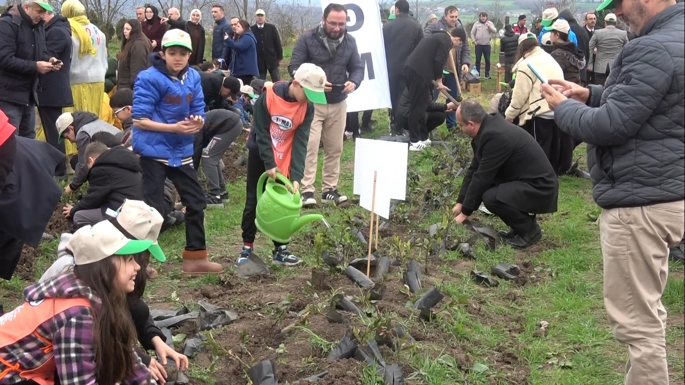Bafra’da minik eller 3 bin fidanı toprakla buluşturdu
