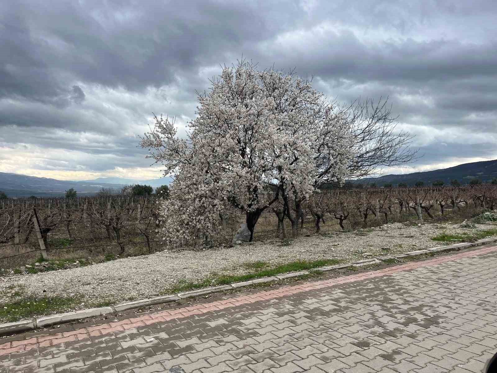 Bahar renkleriyle geliyor
