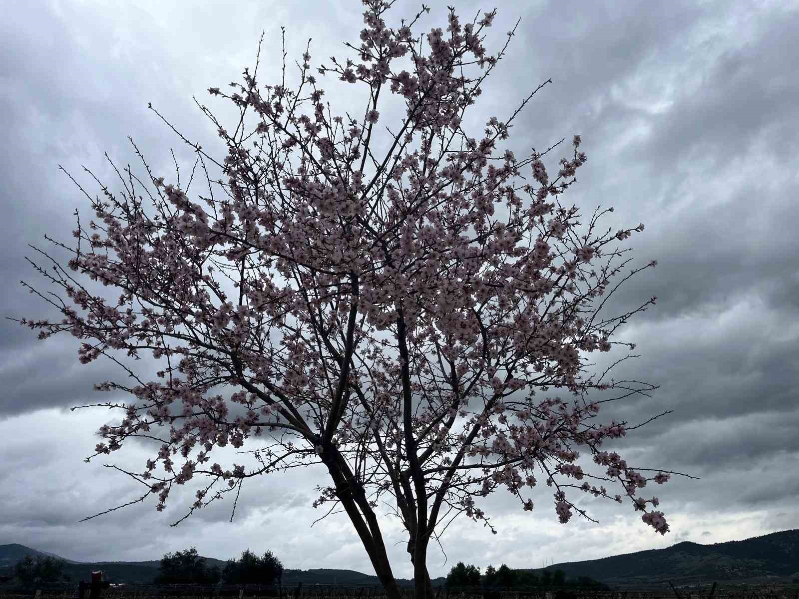 Bahar renkleriyle geliyor
