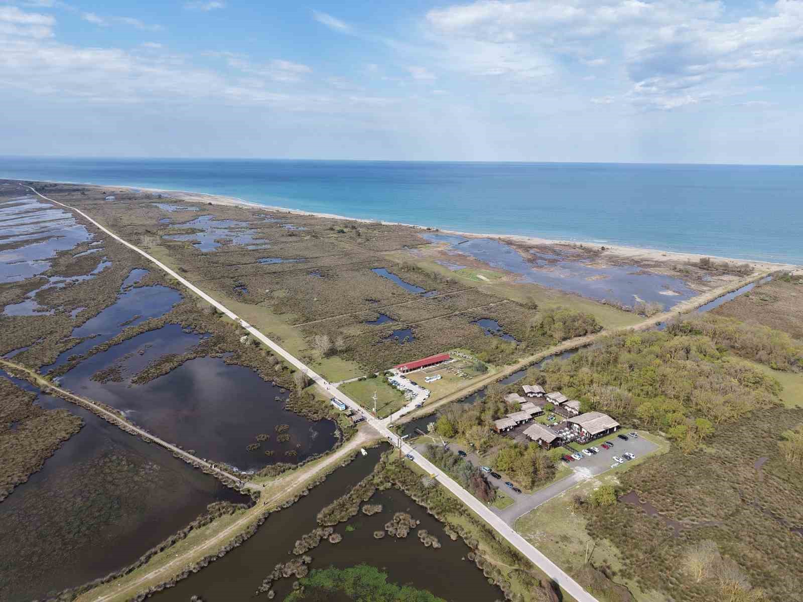 Baharın güzelliği deltada: Su papatyaları ve mandalarıyla ziyaretçilerin ilgi odağı
