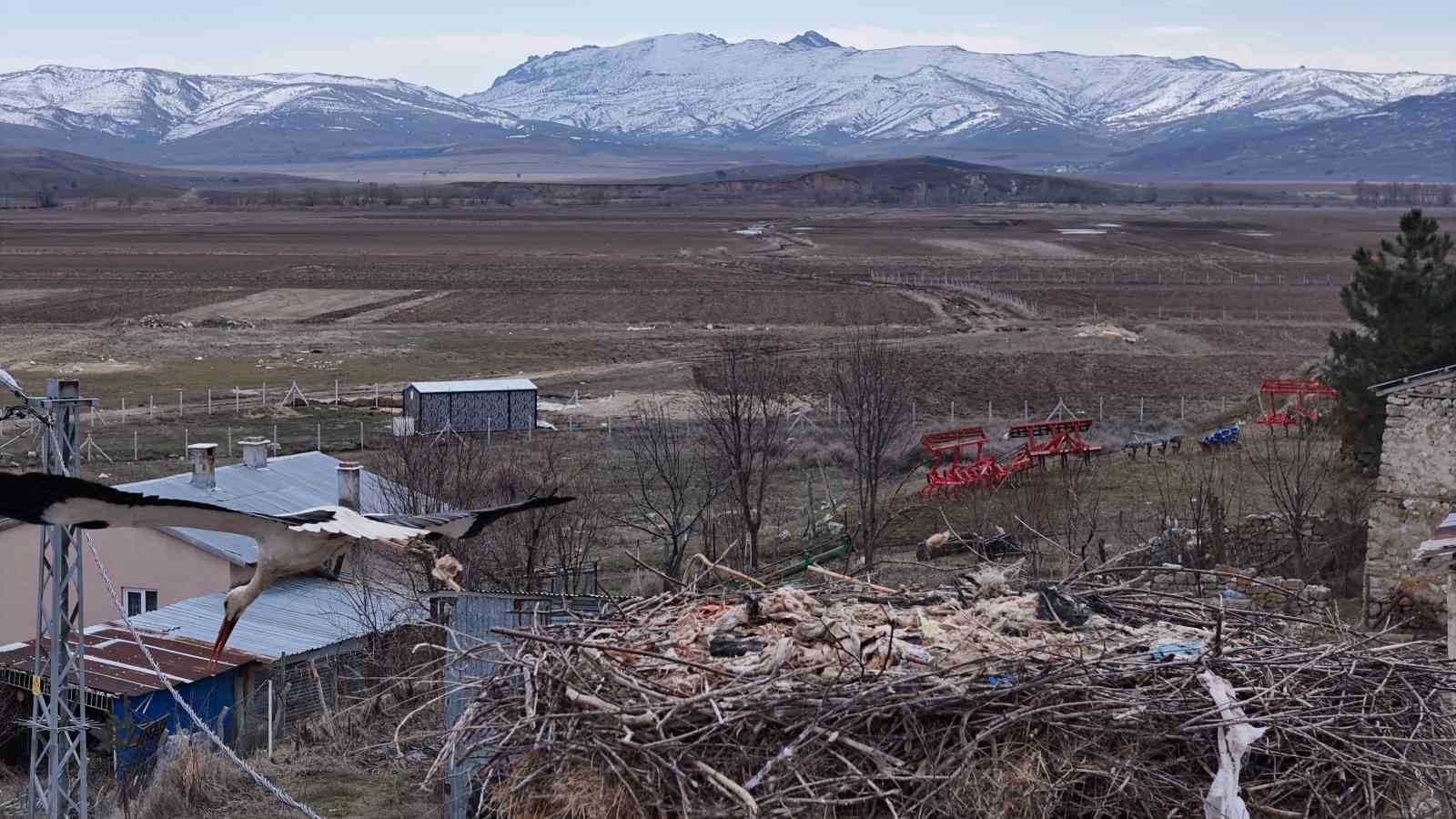 Baharın müjdecileri, asırlardır mesken tuttukları köye döndü
