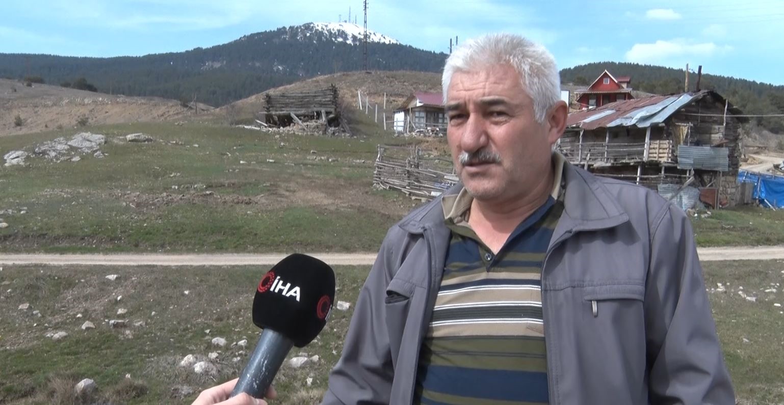 Baharın müjdecisi ‘çiğdemler’ çiçek açtı
