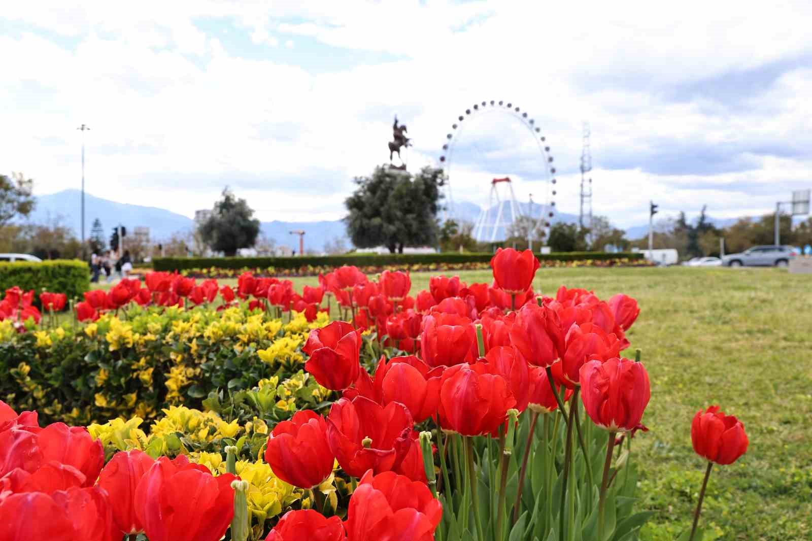 Baharın müjdecisi laleler Antalya sokaklarını renklendirdi

