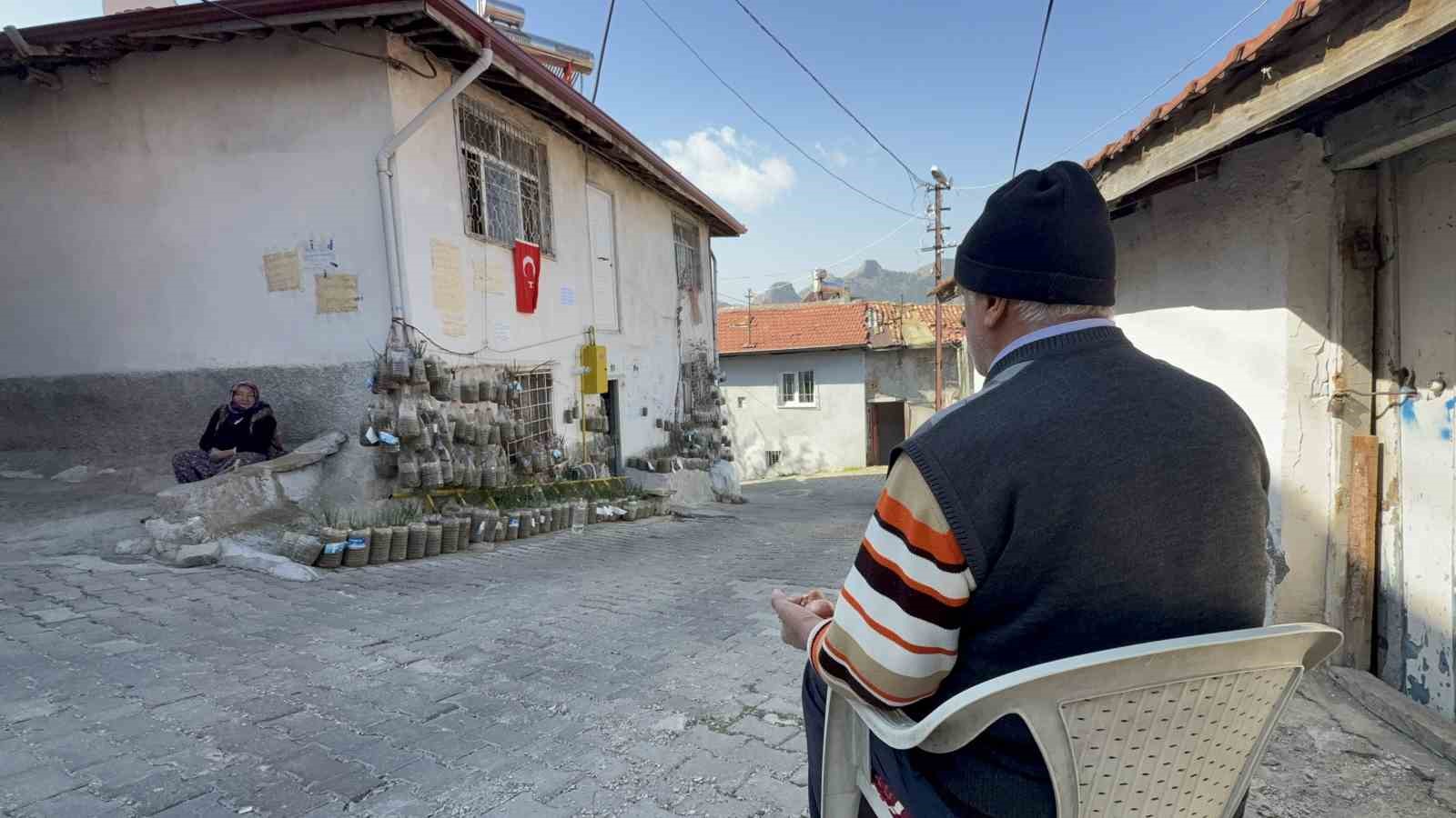 Bahçede yetiştiremeyince çözümü evinin duvarında buldu
