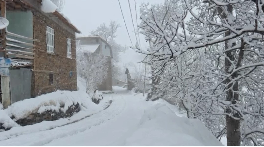 Bahçesaraylılar açtıkları kar tünelleriyle günlük hayatlarını sürdürüyor
Bahçesaraylılar açtıkları kar tünelleriyle günlük hayatlarını sürdürüyor