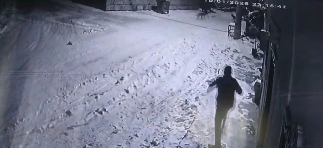 Bahçesine giren kurtları çaydanlıktaki sıcak suyla kovaladı
