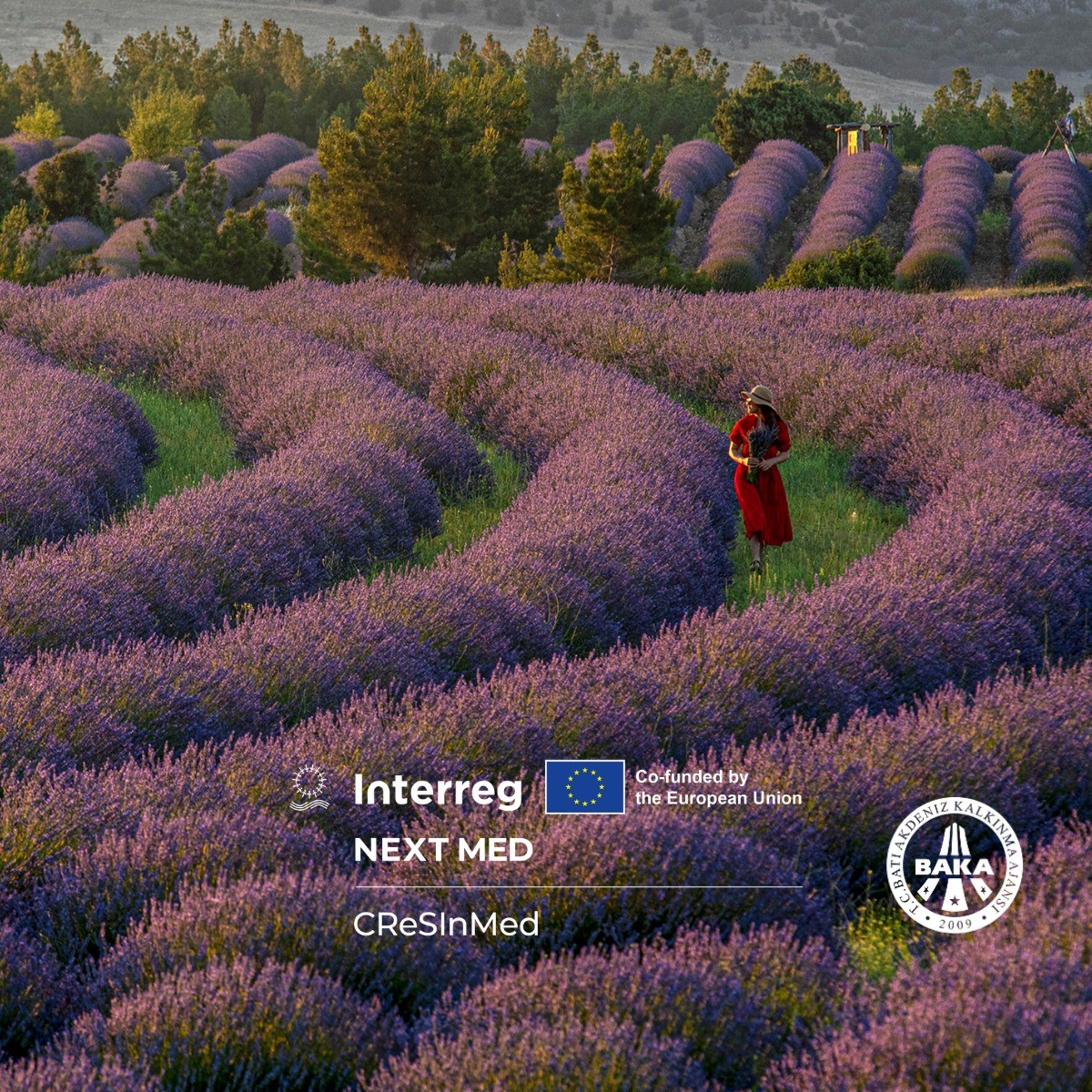 BAKA, Batı Akdeniz Kırsal Turizmini Küresel Pazara Taşıyor: 2.5 Milyon Euro’luk "CReSInMed" projesi başlıyor
BAKA, Batı Akdeniz Kırsal Turizmini Küresel Pazara Taşıyor: 2.5 Milyon Euro’luk "CReSInMed" projesi başlıyor