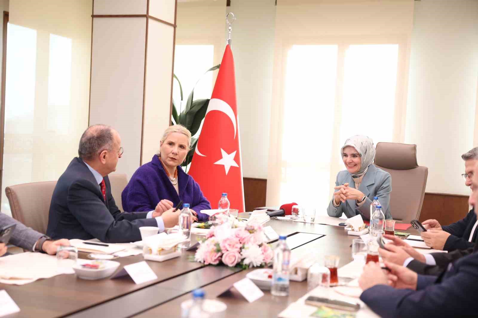 Bakan Göktaş: "Aile ve Gençlik Fonu’ndan 4 bin 715 genç yararlandı"
Bakan Göktaş: "Aile ve Gençlik Fonu’ndan 4 bin 715 genç yararlandı"