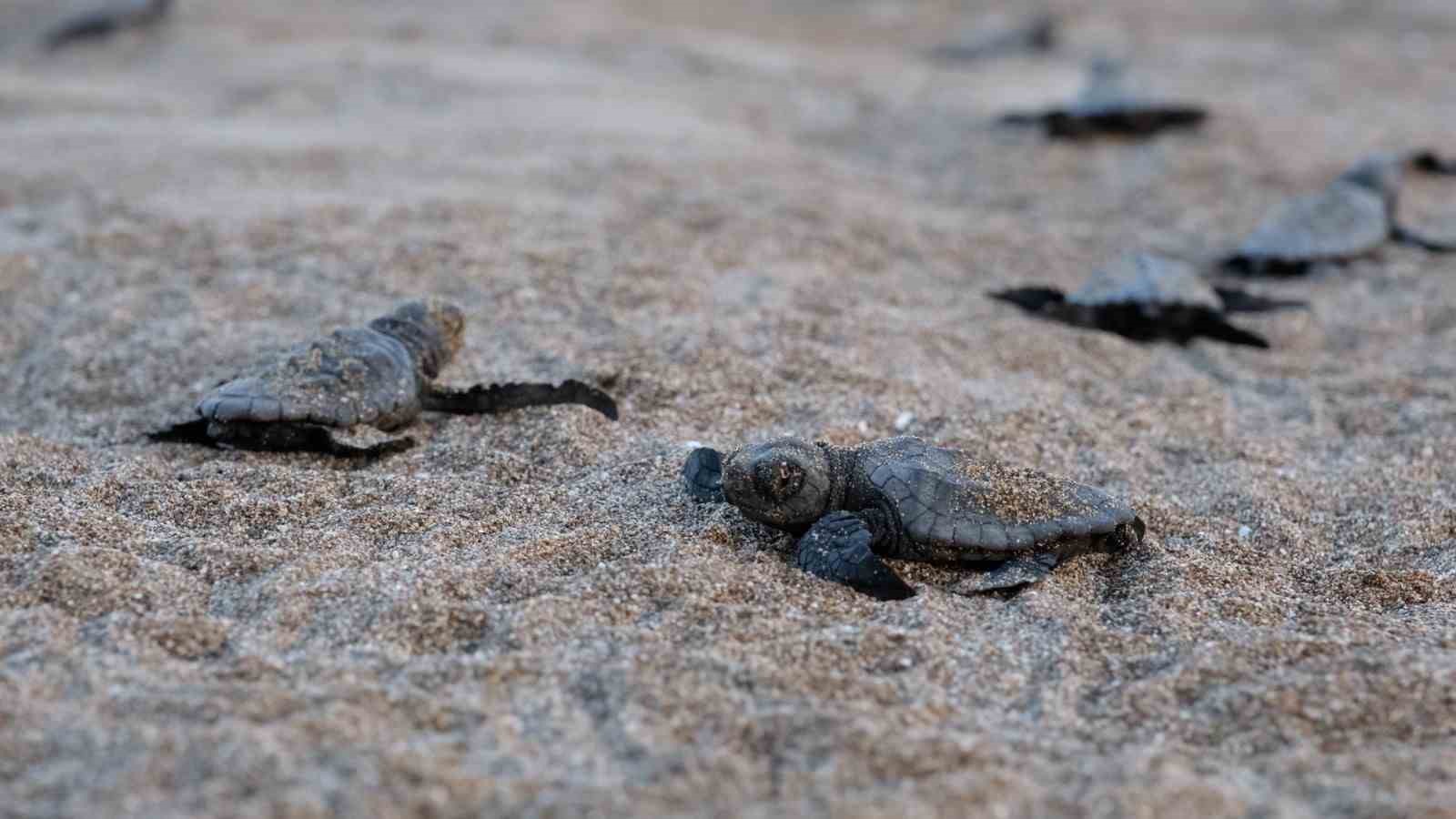 Bakan Kurum: "Daha adil bir dünya sıfır atık ile mümkün"
