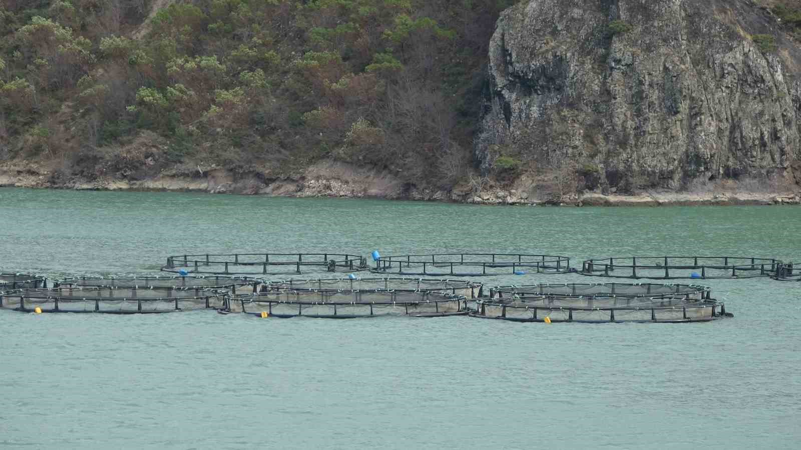 Bakan Yumaklı: "Türk somonu ihracatı 500 milyon dolara ulaştı"
