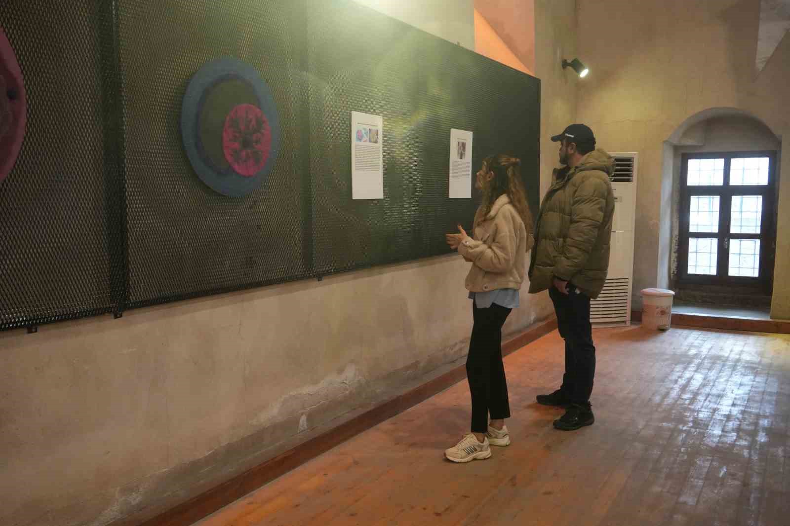 Bakteriler, sanatın ilham kaynağı oldu
