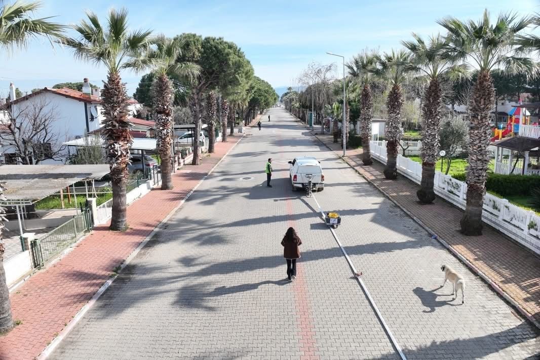 BALDEP Projesi Altınova Sahili’nde sürüyor
