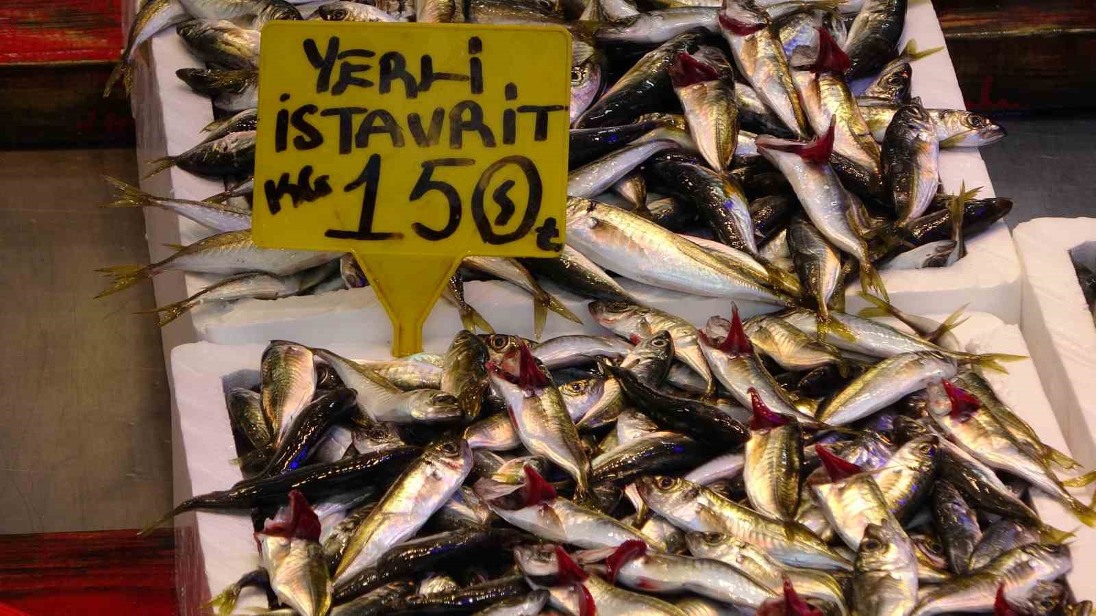 Balık av sezonu biterken, balıkçılar sezonu değerlendirdi
