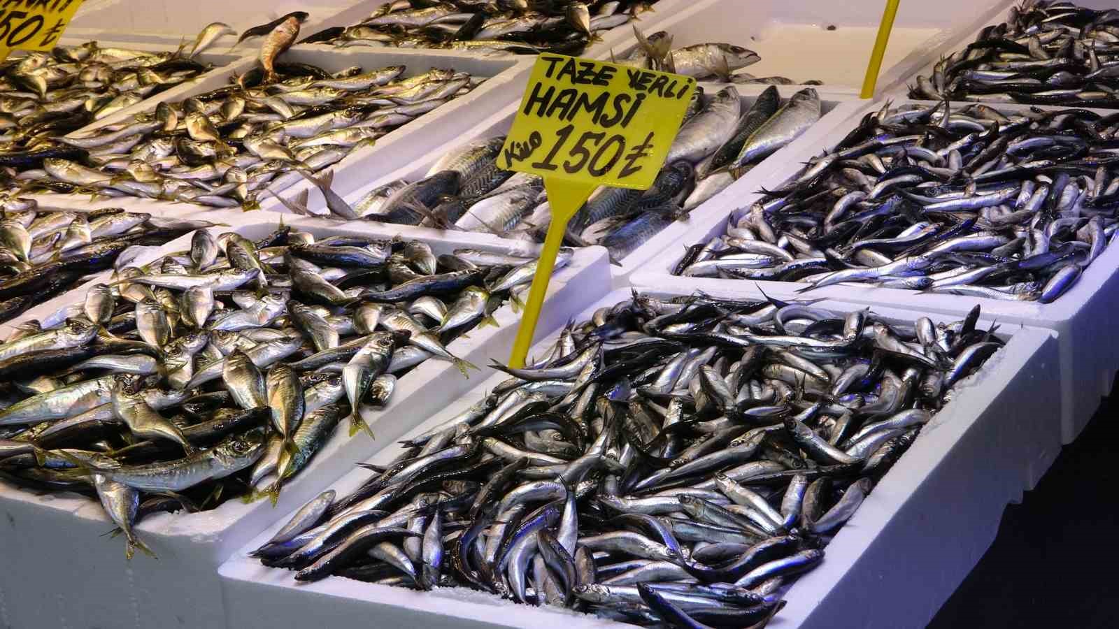 Balık av sezonu biterken, balıkçılar sezonu değerlendirdi
