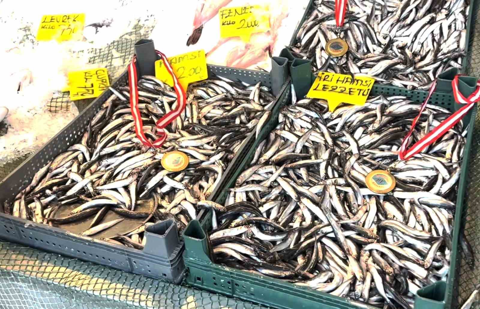 Balık sezonu sona erdi, Balıkçı Kenan hamsiye "madalya" taktı
