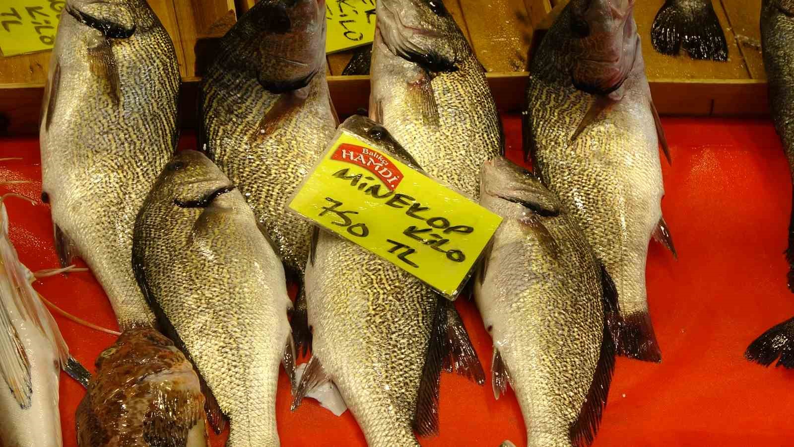 Balık tezgahları kış aylarını aratmıyor
