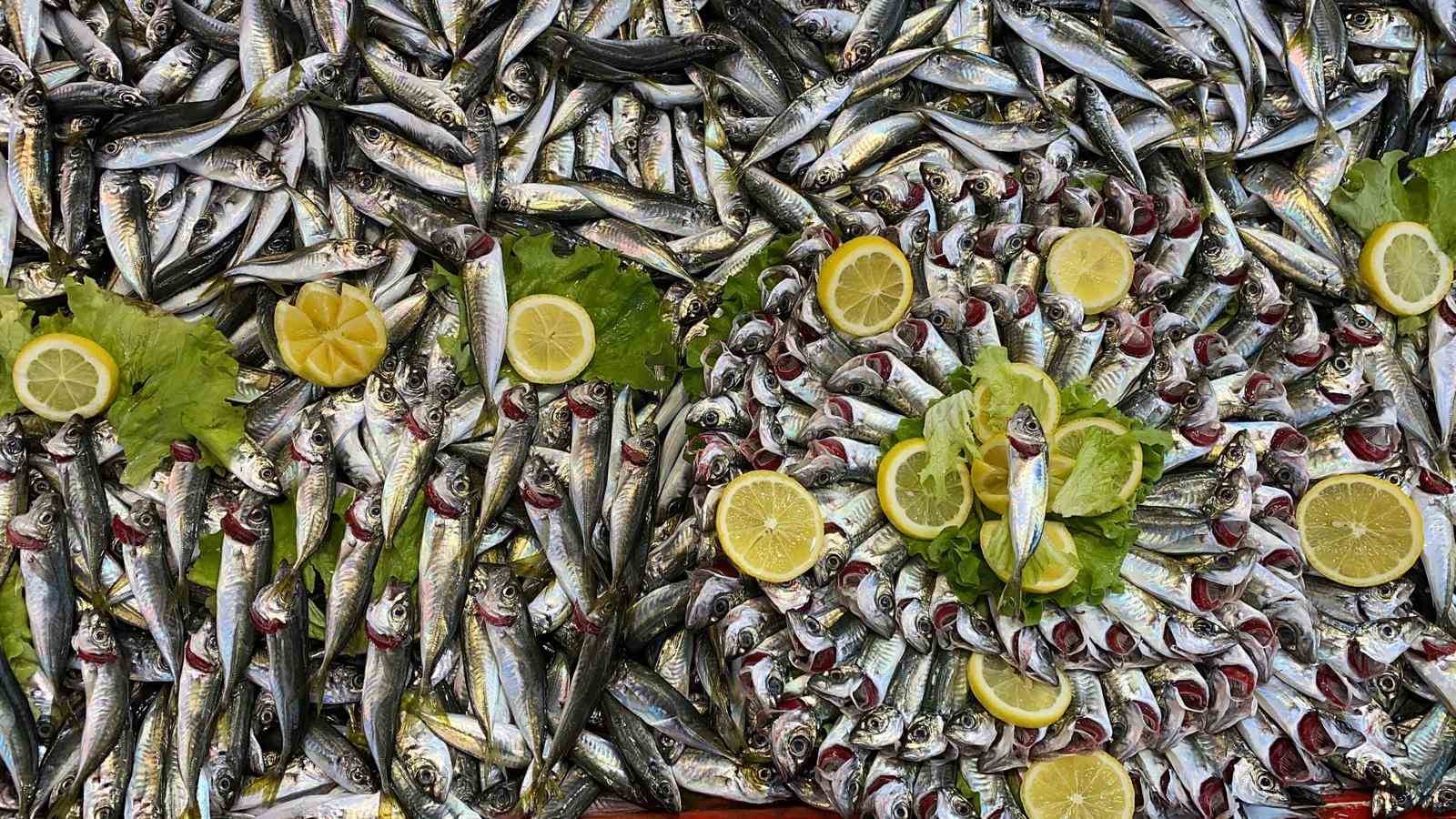 Balık tezgahlarında hamsi yok, vatandaş diğer balıklara yöneldi
