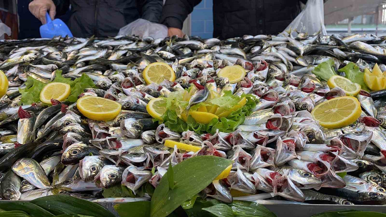 Balık tezgahlarında hamsi yok, vatandaş diğer balıklara yöneldi
