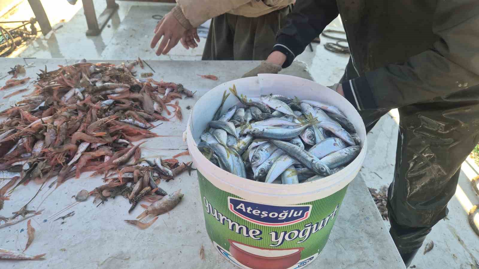 Balıkçılar karides, tekir ve istavritle limana döndü
