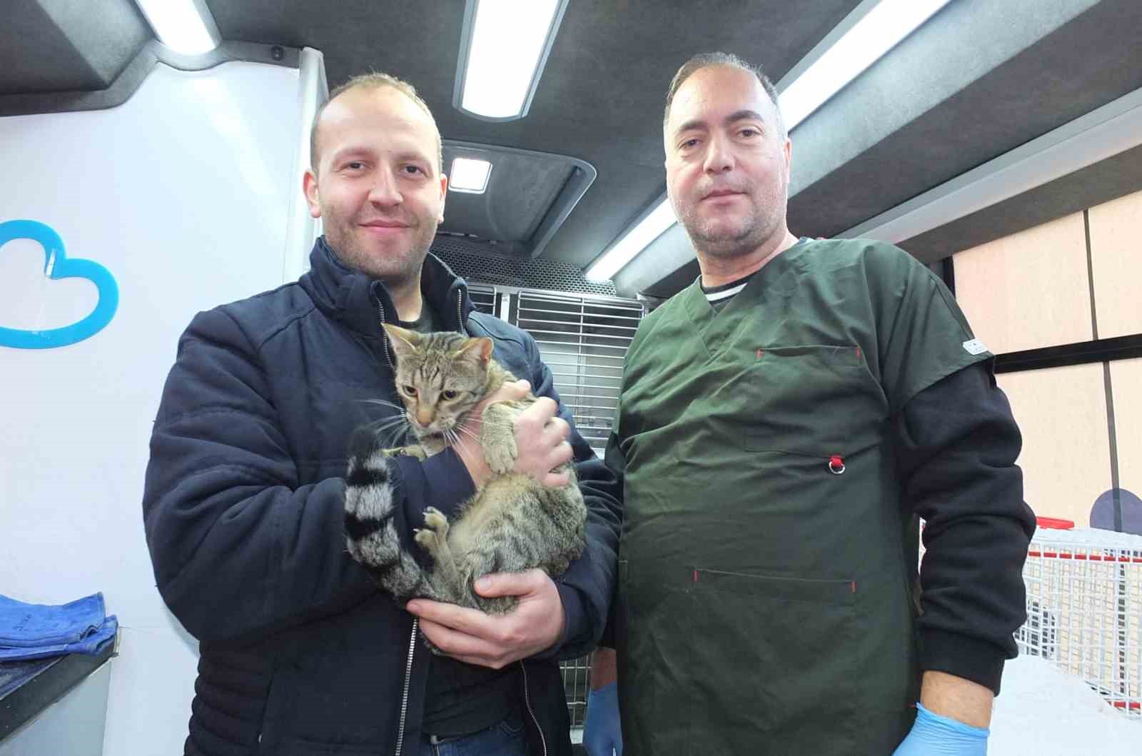 Balıkesir de sokak hayvanlarına ücretsiz tedavi desteği
