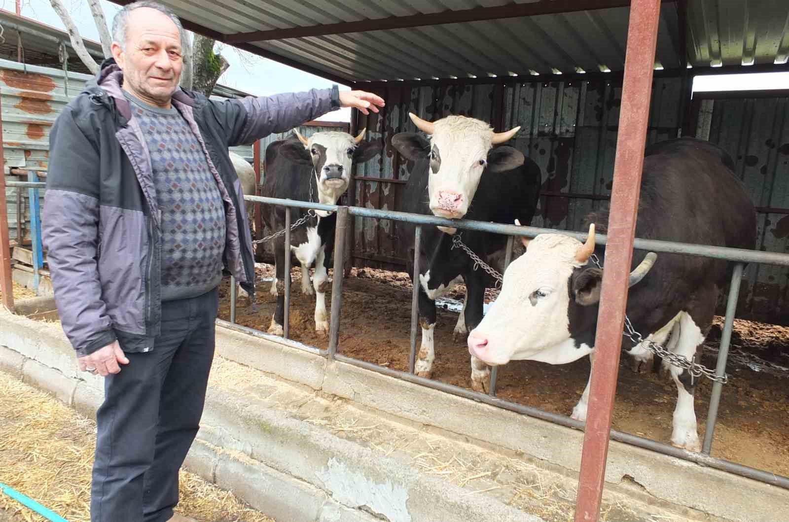 Balıkesir’de kurbanlık satışları başladı
